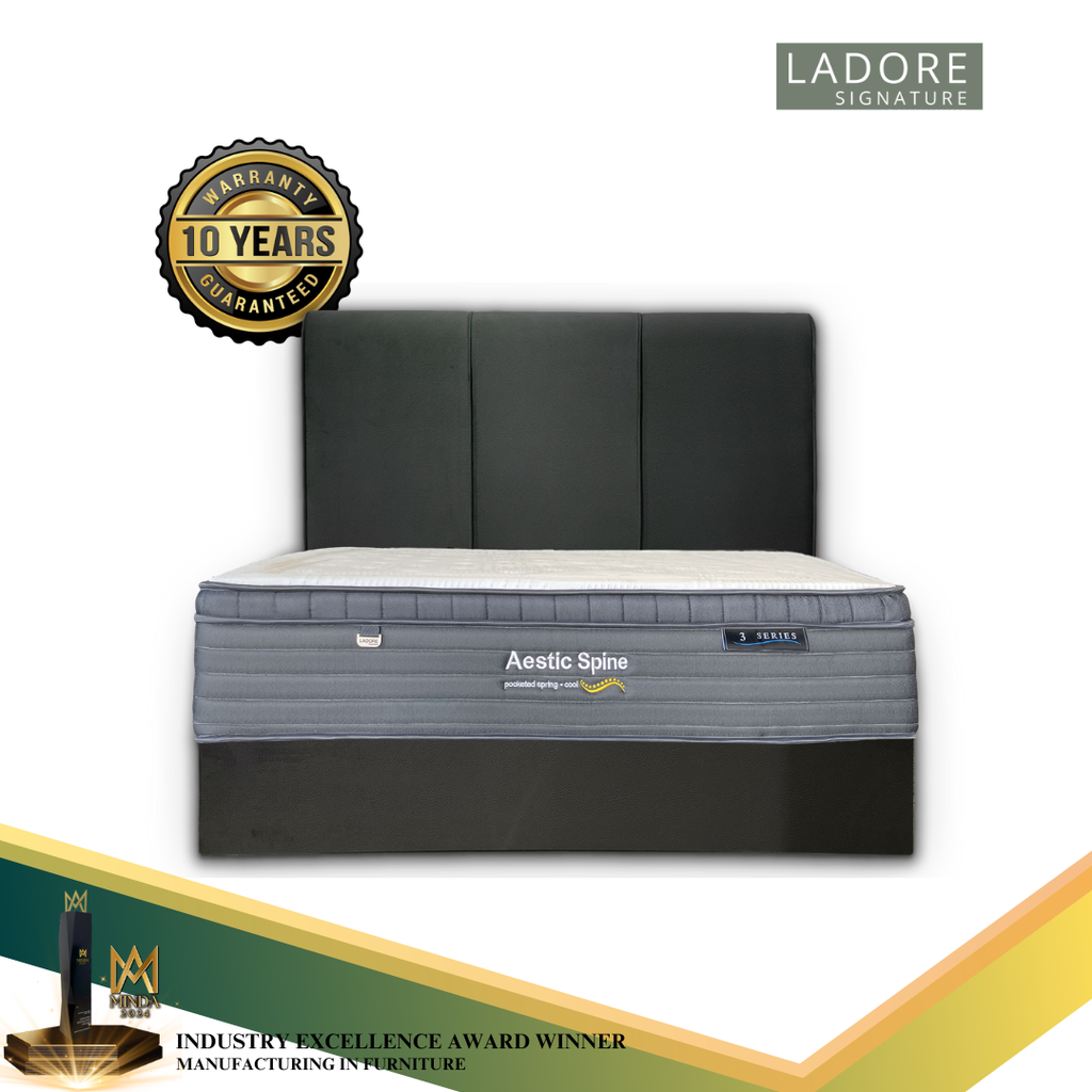(QUEEN SIZE) Aestic Spine 12 Inch