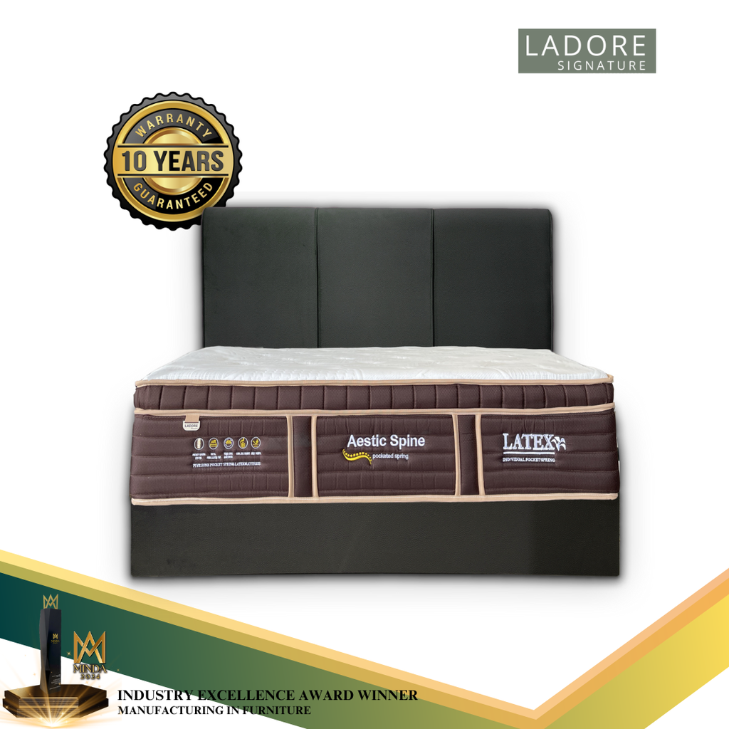 (KING SIZE) Aestic Spine Sleep Tex Plus 14 Inch