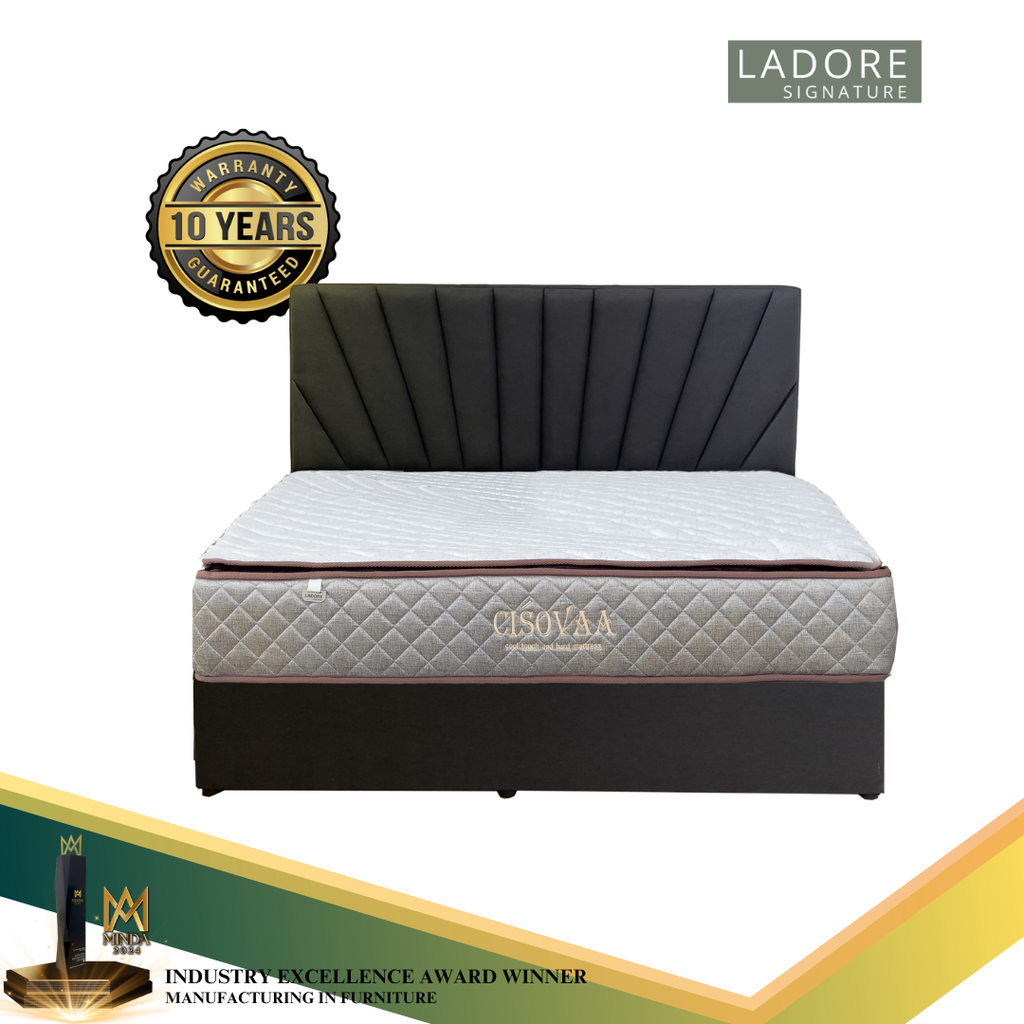 (KING SIZE) Ladore Cisovaa 10 Inch